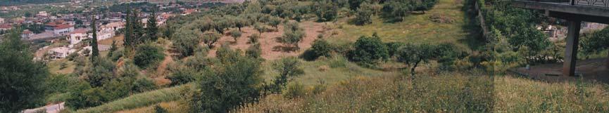 7) έχουν εκδηλωθεί µικρές ερπυστικές µετακινήσεις που εκφράζονται µε καθιζήσεις του οδοστρώµατος προς την κατάντη πλευρά.