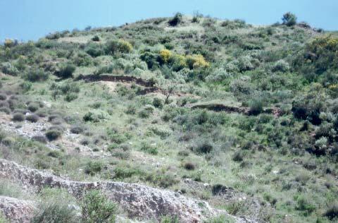 κατά µήκος του ποταµού Βούδακα. Εικόνα 8.