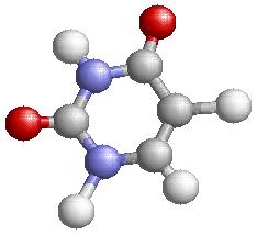 Guanine G Θυμίνη Thymine T Κυτοσίνη Cytosine C Ουρακίλη Uracil
