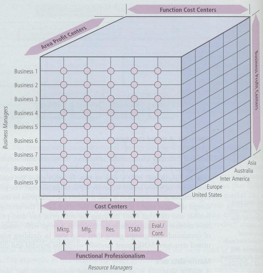 Μητρική δομή Μια οργανωσιακή δομή που συνδυάζει δύο διοικητικές ευθύνες, όπως για παράδειγμα της λειτουργίας (παραγωγή, μάρκετινγκ, κλπ.