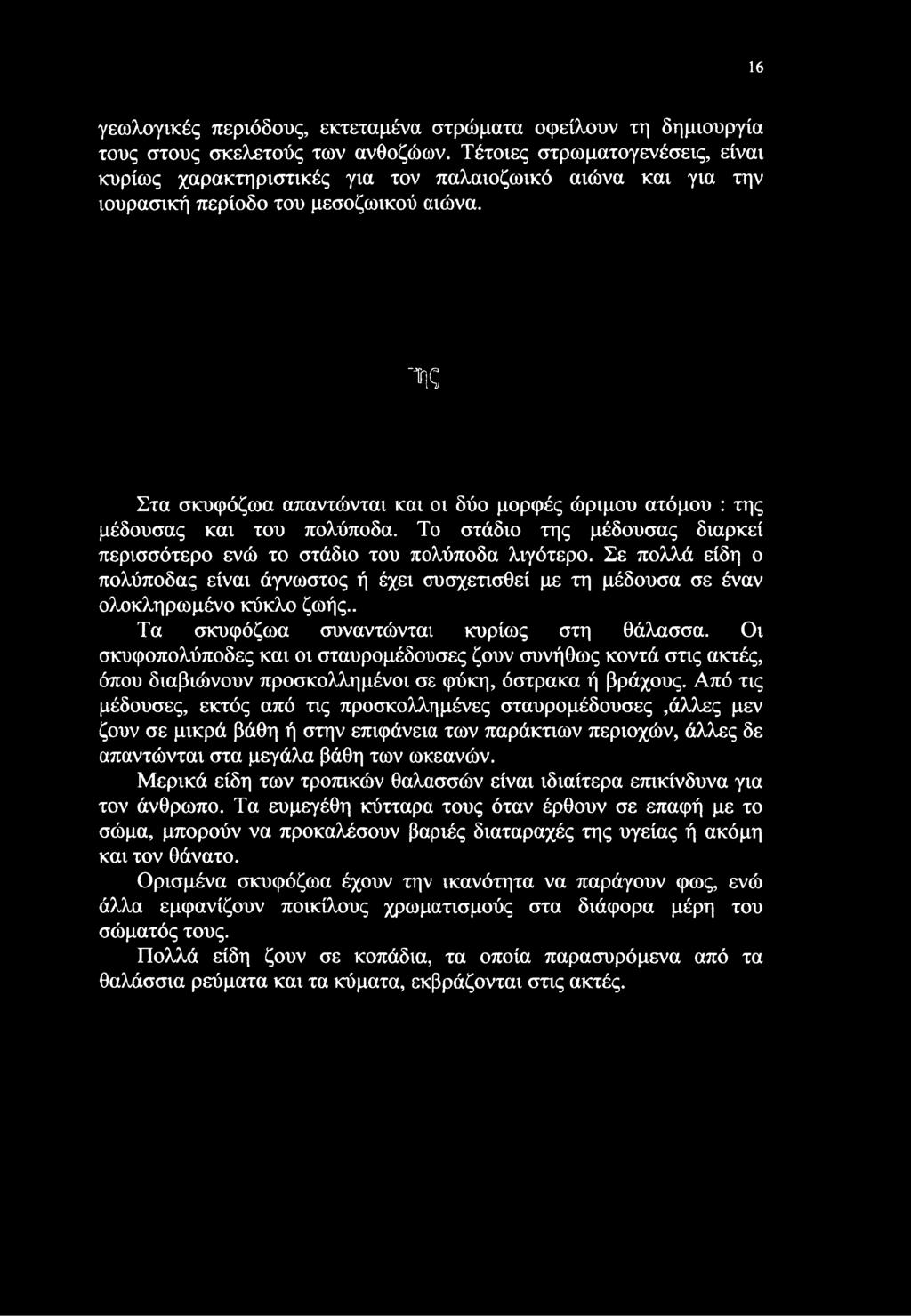 τις Στα σκυφόζωα απαντώνται και οι δύο μορφές ώριμου ατόμου : της μέδουσας και του πολύποδα. Το στάδιο της μέδουσας διαρκεί περισσότερο ενώ το στάδιο του πολύποδα λιγότερο.