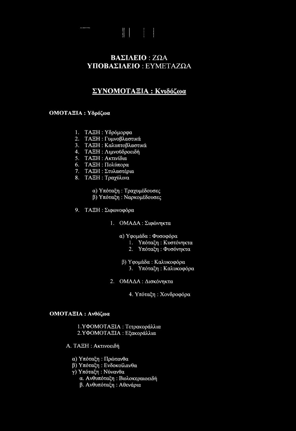 ΟΜΑΔΑ : Σιφώνηκτα α) Υφομάδα : Φυσοφόρα 1. Υπόταξη : Κυστόνηκτα 2. Υπόταξη : Φυσόνηκτα β) Υφομάδα : Καλυκοφόρα 3. Υπόταξη : Καλυκοφόρα 2. ΟΜΑΔΑ: Δισκόνηκτα 4.