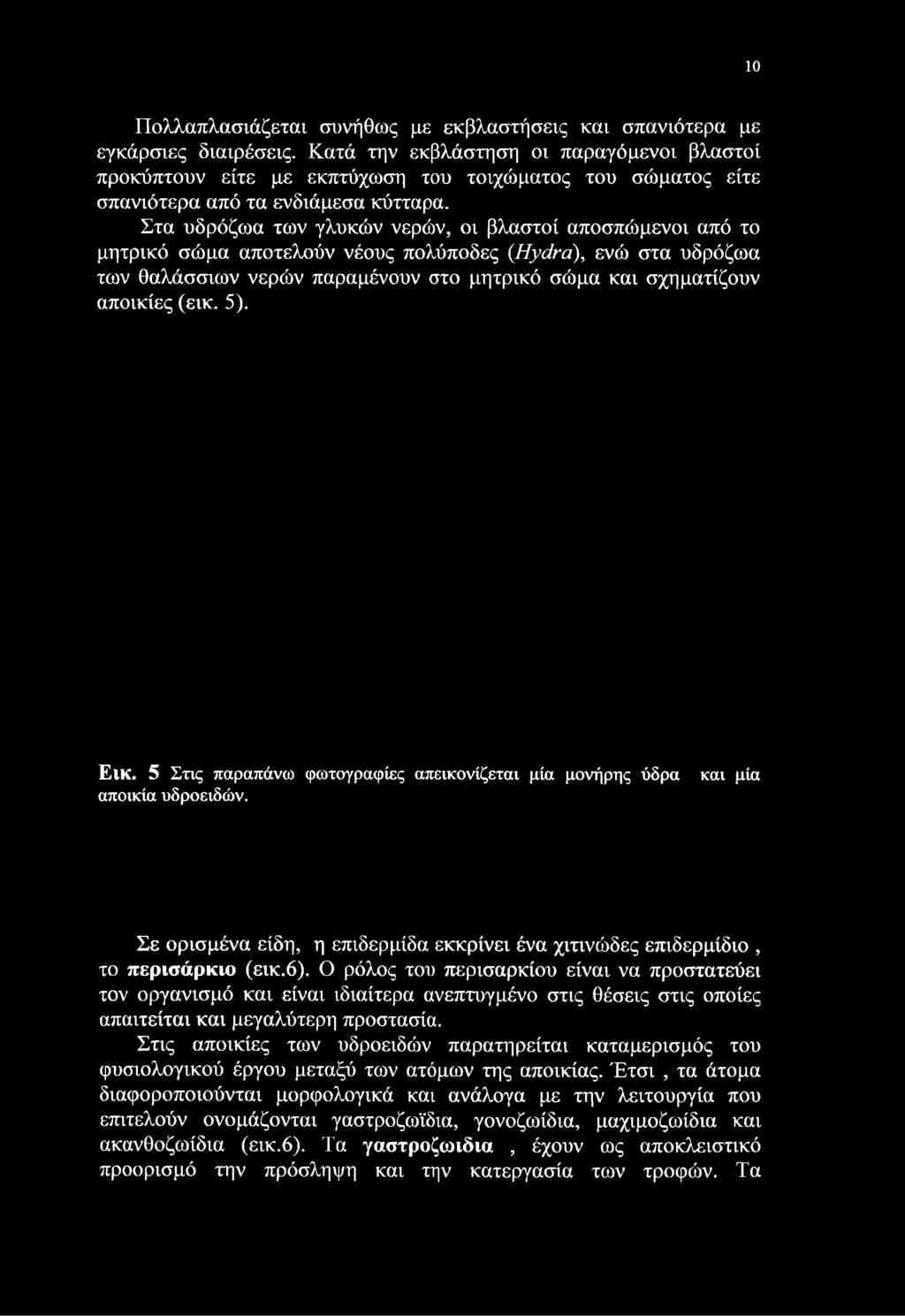 Στα υδρόζωα των γλυκών νερών, οι βλαστοί αποσπώμενοι από το μητρικό σώμα αποτελούν νέους πολύποδες {Hydra), ενώ στα υδρόζωα των θαλάσσιων νερών παραμένουν στο μητρικό σώμα και σχηματίζουν