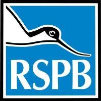 UPDATE on illegal bird trapping activity in Cyprus Covering the winter 2012-2013 findings