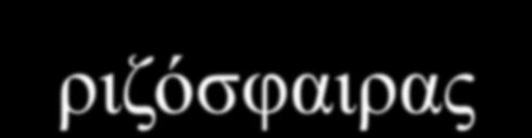 Εξαρτάται πάρα πολύ από την ποικιλία και τους καλλιεργητικούς χειρισμούς Ανά τακτά χρονικά διαστήματα