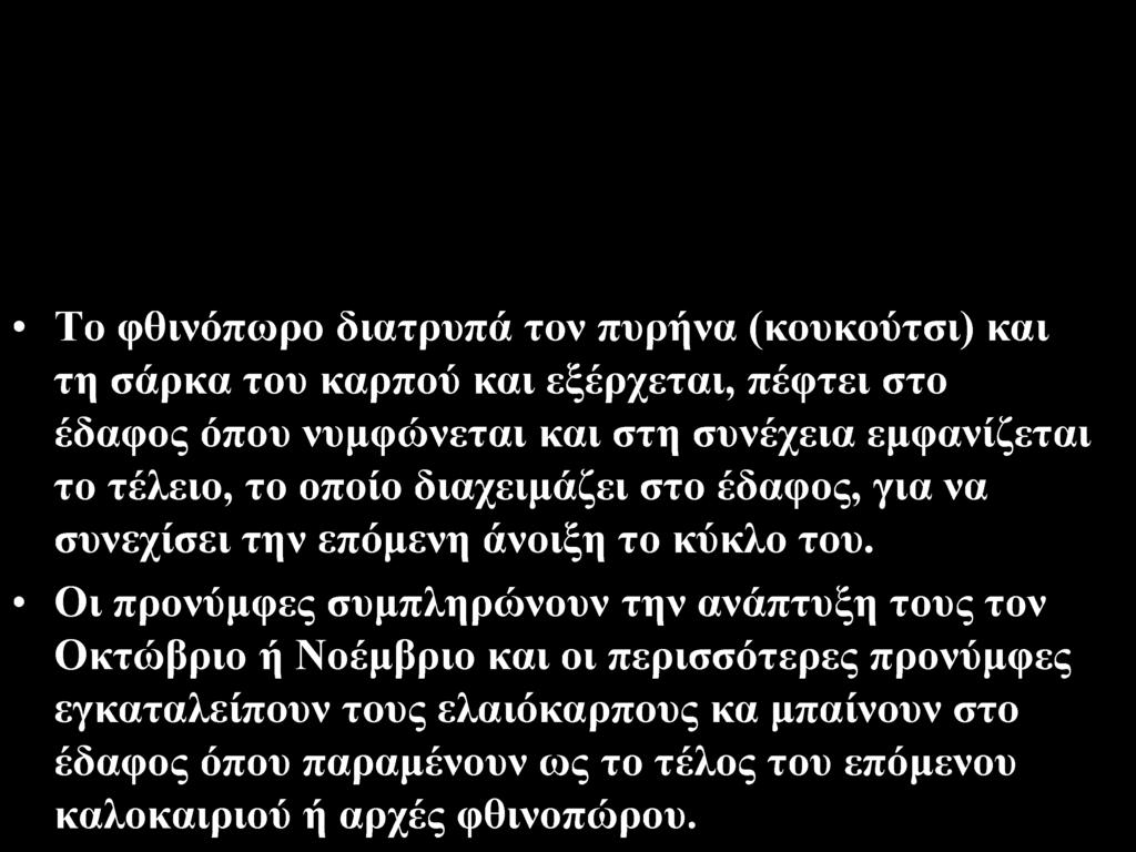 άνοιξη το κύκλο του.