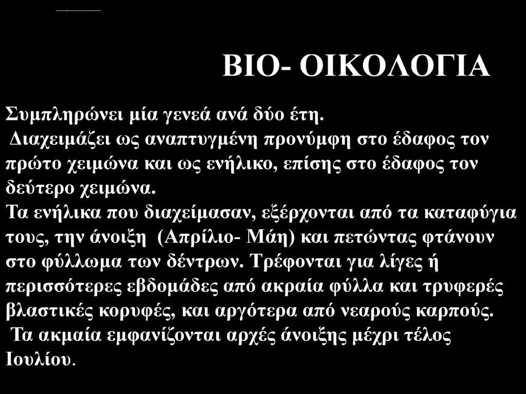 (Απρίλιο- Μάη) και πετώντας φτάνουν στο φύλλωμα των δέντρων.