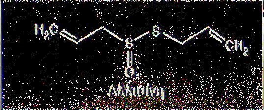 Εικόνα 12. Χημική δομή αλλισίνης Cassidy & Dalais, 2008,395 Αυτές οι ενώσεις είναι πτητικές και υπεύθυνες για τη χαρακτηριστική οσμή του σκόρδου.