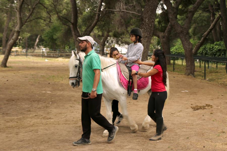 Γενικότερα, ο επικαφαλής θεραπευτής πρέπει να έχει αναπτύξει μια καλή σχέση με το άλογο, ώστε να μπορεί να κατανοεί την συμπεριφορά και την κίνηση του αλόγου, να έχει γνώσεις και ικανότητες ίππευσης,