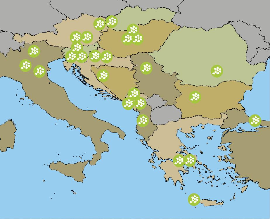 3. Οι εταίροι του SNAP-SEE Η κοινοπραξία του έργου αποτελείται από φορείς που είτε εμπλέκονται στο σχεδιασμό και τη διαχείριση