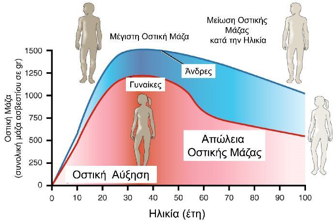 ΕΙΣΑΓΩΓΗ Πολλά έχουν γραφεί για την οστεοπόρωση και γενικότερα αποτελεί ένα από τα πλέον μελετημένα αντικείμενα της ιατρικής έρευνας.
