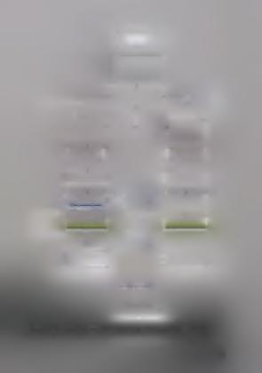 ΕΛΙΕΣ