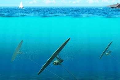 Το παλιρροιακό εύρος φτάνει το 1 µέτρο, ενώ στη Μεσόγειο τα 60 εκατοστά.