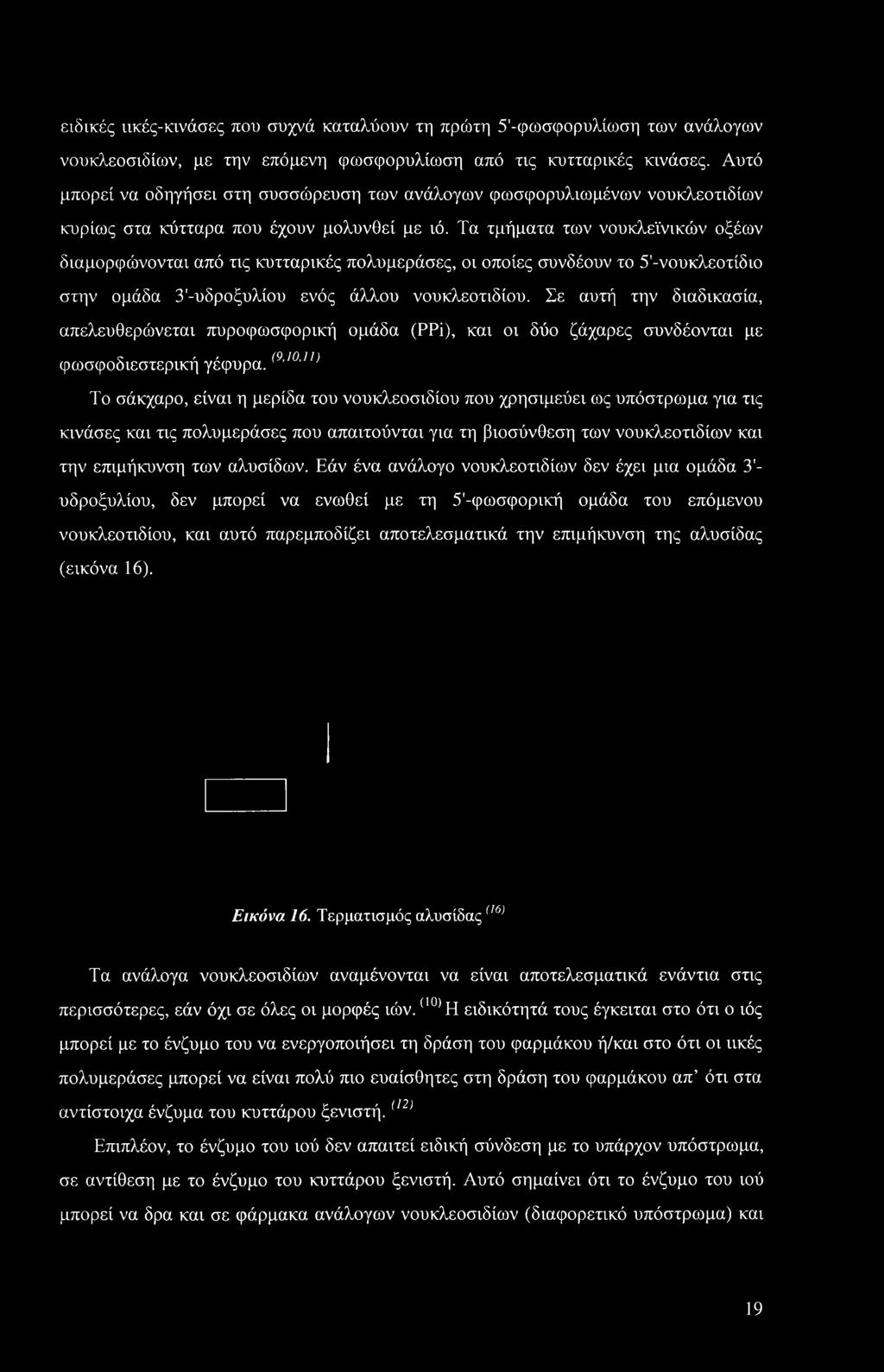 (9 10,Ι> Το σάκχαρο, είναι η μερίδα του νουκλεοσιδίου που χρησιμεύει ως υπόστρωμα για τις κινάσες και τις πολυμεράσες που απαιτούνται για τη βιοσύνθεση των νουκλεοτιδίων και την επιμήκυνση των