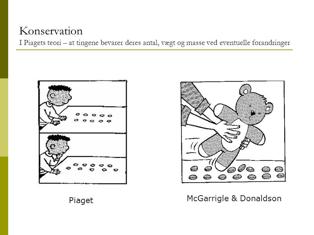 η κριτική του έργου της διατήρησης Οι McGarrigle & Donaldson επινόησαν το έργο με το άτακτο αρκουδάκι που χαλάει τη διάταξη των αριθμών τότε τα παιδιά