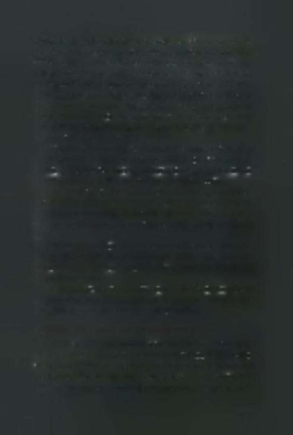 καλλιέργειες.