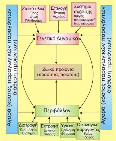 Συντελεστές Ζωικής Παραγωγής Η παραγωγή των ζωικών προϊόντων (τόσο ως προς την ποσότητα αλλά και ως προς την ποιότητα ) είναι αποτέλεσμα συνδυασμού πληθώρας παραγόντων οι οποίοι θα μπορούσαν να