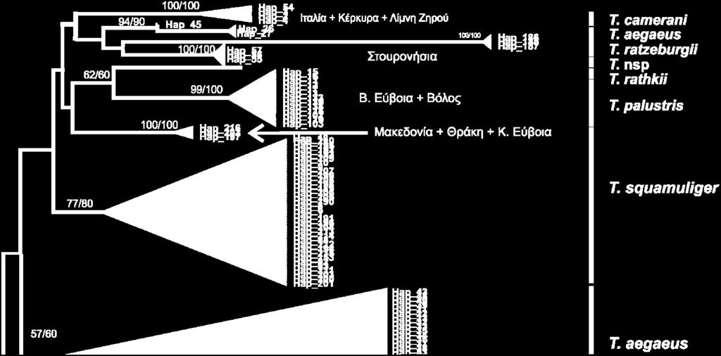 σχέσεις όπως προέκυψαν από τη