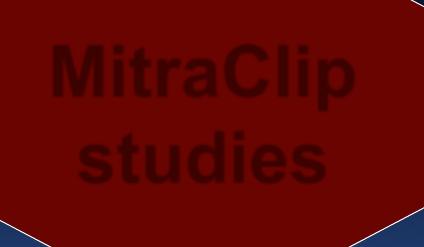 MitraClip