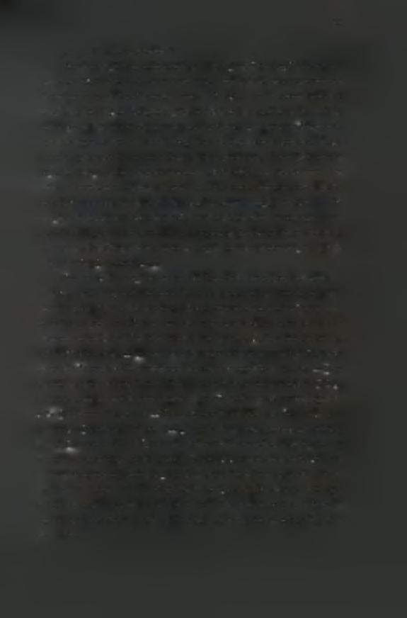 25 2.3 Myzuspersicae-Myzus nicotianae Η πράσινη αφίδα της ροδακινιάς Μ.