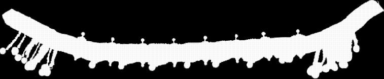 150-200 2134 ΖΩΝΗ Υφασμάτινη