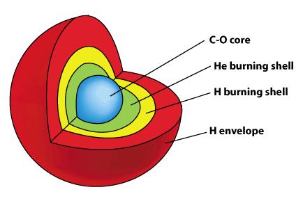 ΔΟΜΗ ΥΠΕΡΓΙΓΑΝΤΑ Διαδοχική καύση φλοιών H, He -> μεταβλητός αστέρας μακράς περιόδου (τύπου Mira).