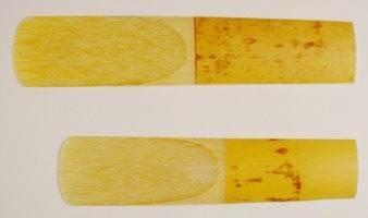 Το καλάμι Το καλαμάκι του σαξοφώνου είναι πιο πλατύ από αυτό του κλαρινέτου και με μεγαλύτερο μήκος. Φυσικά για κάθε διαφορετικό μέγεθος σαξοφώνου υπάρχει και ένα διαφορετικό μέγεθος καλαμιού.