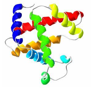 ΒΙΟΛΟΓΊΑ ΚΑΙ ΒΙΟΠΛΗΡΟΦΟΡΙΚΉ 4.3 ΣΗΜΑΝΤΙΚΟΙ ΟΡΟΙ 4.3.1 Πρωτεΐνη Αποτελεί μία πολύπλοκη, υψηλού μοριακού βάρους οργανική ένωση που αποτελείται από αμινοξέα ενωμένα με πεπτιδικούς δεσμούς [14].