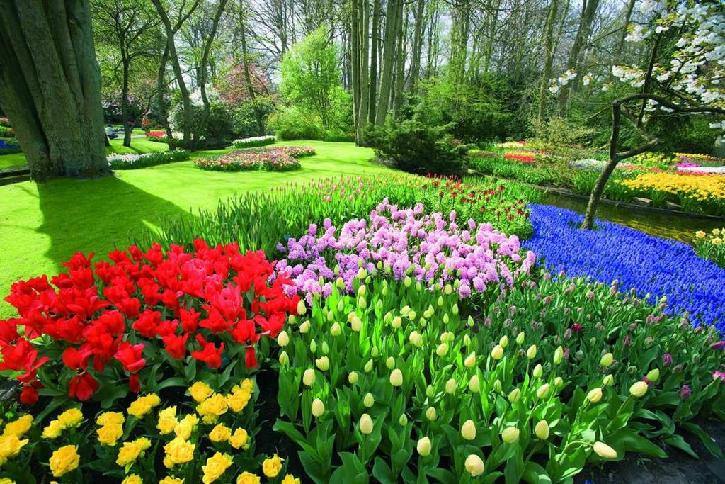 Άµστερνταµ, Ολλανδία Πάρκο Keukenhof, ανοικτό από 23/03/17 εως 21/05/17 Πρόκειται για έναν από τους πιο ιδανικούς προορισµούς για να υποδεχτείτε την άνοιξη.