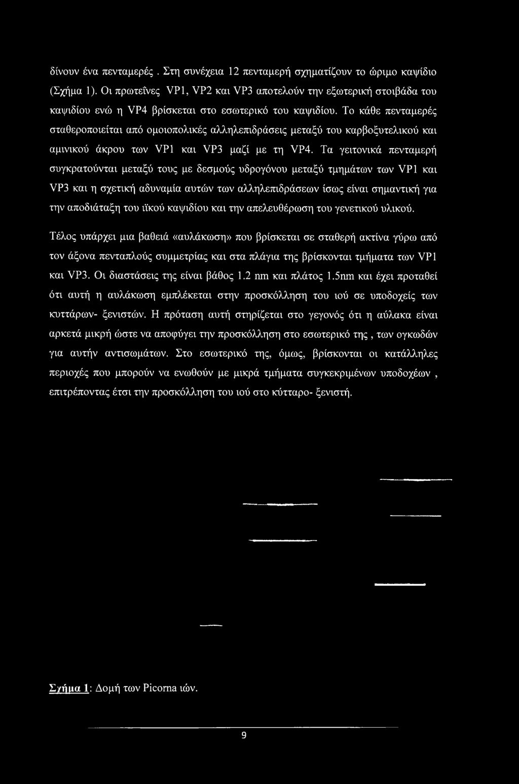 ΐίκού καψιδίου και την απελευθέρωση του γενετικού υλικού.