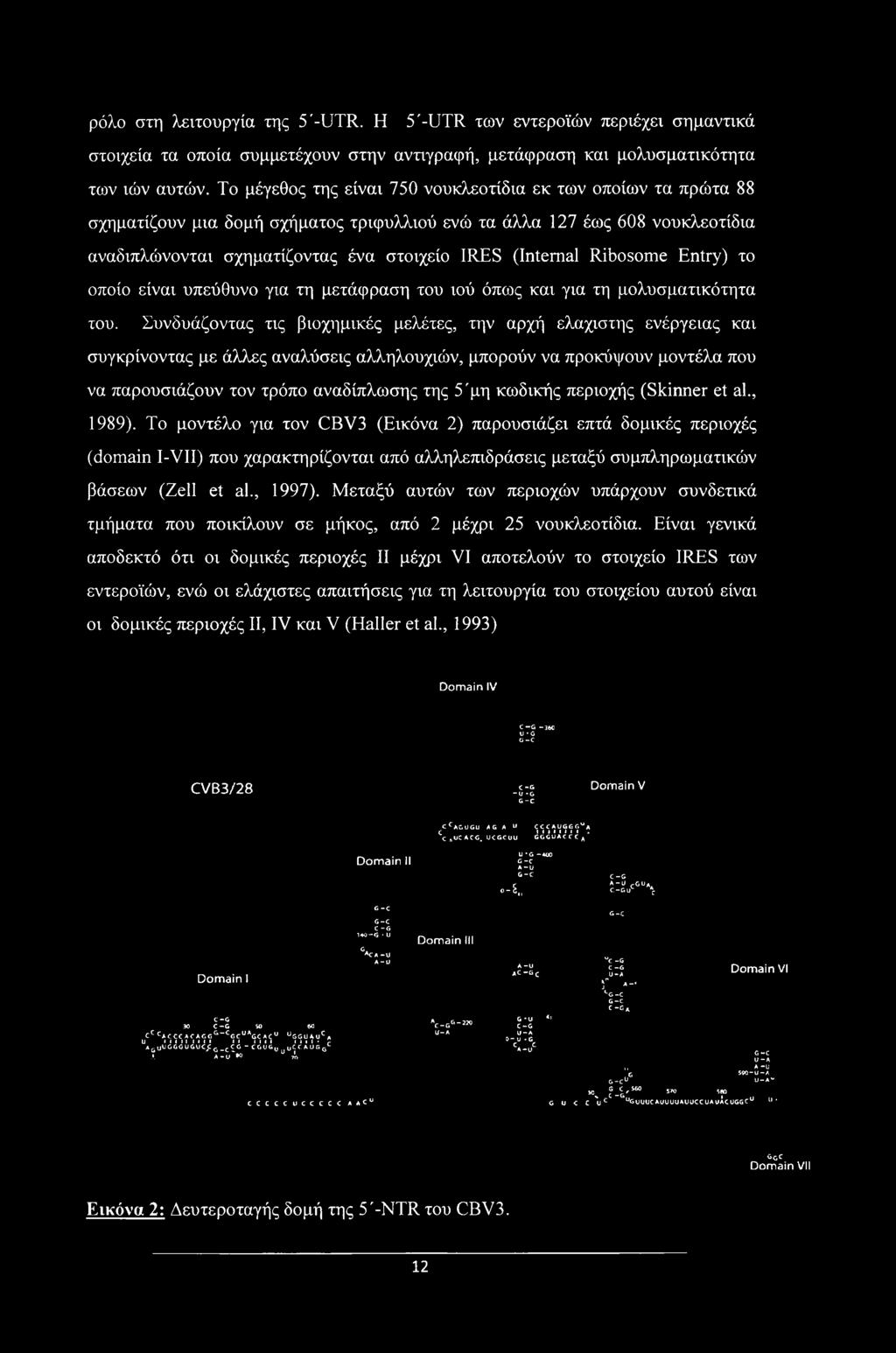 Ribosome Entry) το οποίο είναι υπεύθυνο για τη μετάφραση του ιού όπως και για τη μολυσματικότητα του.