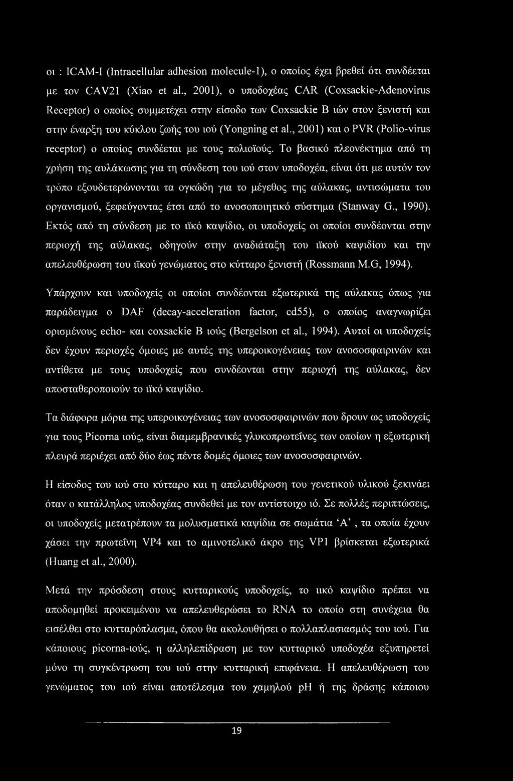 οι : ICAM-I (Intracellular adhesion molecule-1), ο οποίος έχει βρεθεί ότι συνδέεται με τον CAV21 (Xiao et al.