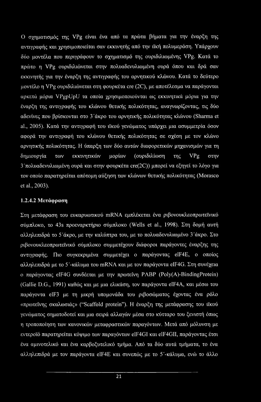 Ο σχηματισμός της VPg είναι ένα από τα πρώτα βήματα για την έναρξη της αντιγραφής και χρησιμοποιείται σαν εκκινητής από την ιϊκή πολυμεράση.
