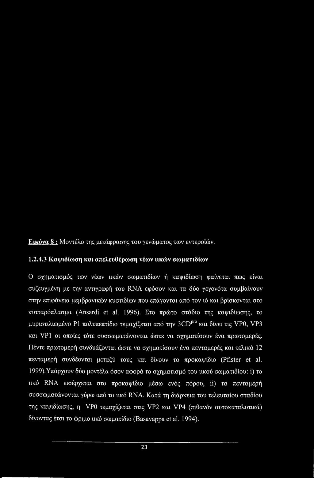 πρωτομερές. Πέντε πρωτομερή συνδυάζονται ώστε να σχηματίσουν ένα πενταμερές και τελικά 12 πενταμερή συνδέονται μεταξύ τους και δίνουν το προκαψίδιο (Pfister et al. 1999).