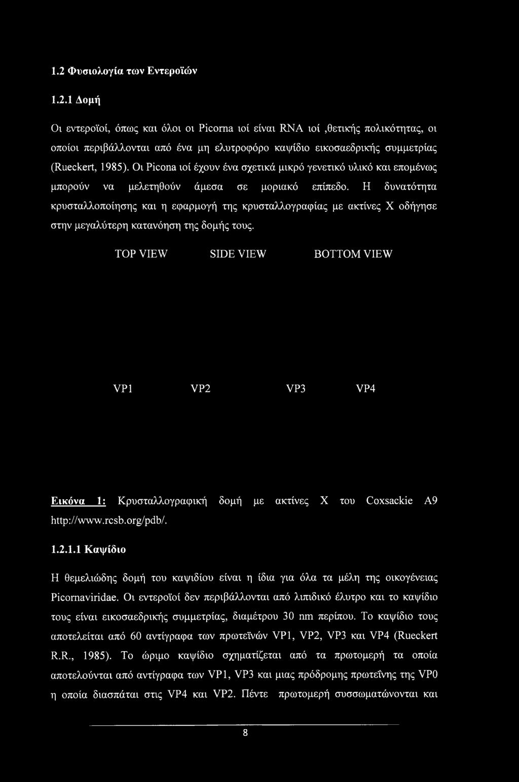 Οι εντεροϊοί δεν περιβάλλονται από λιπιδικό έλυτρο και το καψίδιο τους είναι εικοσαεδρικής συμμετρίας, διαμέτρου 30 nm περίπου.