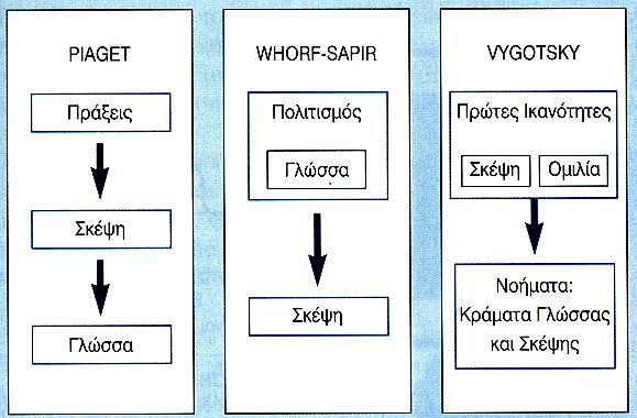 Οι εξελικτικοί ψυχολόγοι διαφωνούν για το ποια είναι η ακριβής σχέση ανάµεσα στην γλώσσα και στην σκέψη.