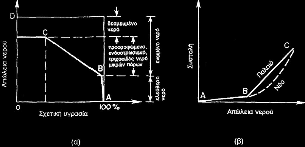 (πόροοι 5-50 nm) (α) Απώλεια νερού συναρτήσει σχετικής