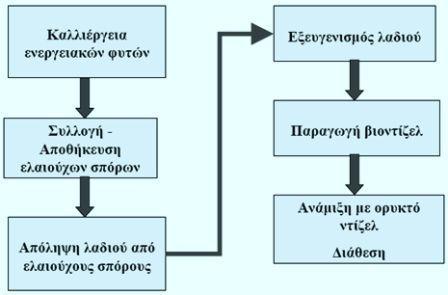 15% μικρότερθ από αυτι του πετρελαίου. Ζνα γενικό ςχιμα τθσ παραγωγικισ αλυςίδασ βιοντίηελ δίνεται ςτο παρακάτω ςχιμα. Σχήμα 1.5: Διαγραμματικι απεικόνιςθ τθσ παραγωγισ βιοντίηελ.