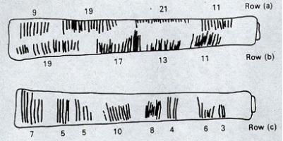 11,13,17 και 19.