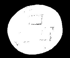 μύκητα V.