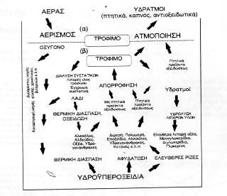 ΦΥΣΙΚΕΣ ΜΕΤΑΒΟΛΕΣ Αύξηση: Λιπαρότητας Χρώματος Αφρίζουσας υφής Μείωση: Σημείου καπνίσματος ΧΗΜΙΚΕΣ ΜΕΤΑΒΟΛΕΣ Αύξηση: Ελεύθερων λιπαρών οξέων Καρβονιλικών συστατικών Προιόντων υψηλού μοριακού βάρους