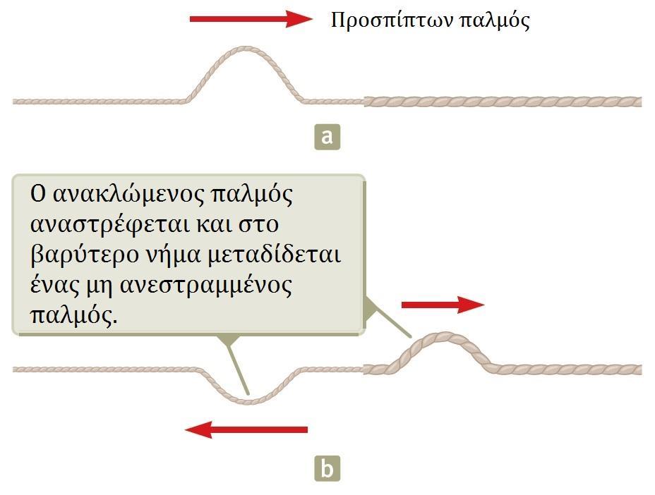 Ανάκλαση και