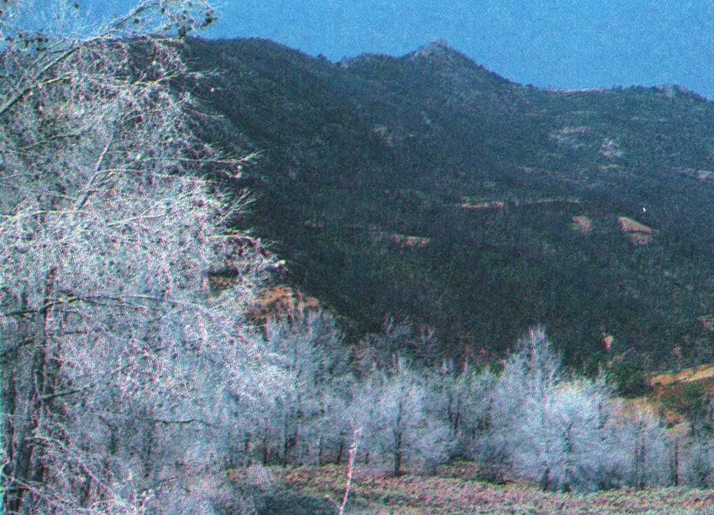 κεφαλαίου των συστάδων είτε από την απώλεια προσόδων που προέρχονται από την καταστροφή της βλάστησης.