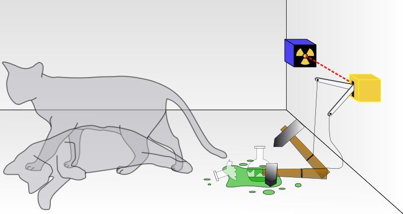 ΤΟ ΠΕΙΡΑΜΑ ΤΗΣ ΓΑΤΑΣ ΤΟΥ SCHRÖDINGER Εικόνα 1) Γάτα του SCHRÖDINGER Η μέτρηση πρόκειται να πραγματοποιηθεί παρουσία ενός ζωντανού οργανισμού και ως τέτοιος επελέγη μια γάτα η οποία και θεωρείται ότι