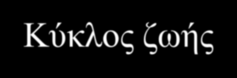Κύκλος ζωής Αύξηση