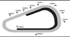 73 (ΚΩΔ.: 015) GREYVILLE (Polytrack) - ΤΕΤΑΡΤΗ 27/7 5 ΩΡΑ: 15.35 THE WHITE HORSE FUNCTION ROOM MDN PLATE R 80.000 (50.000, 16.000, 8.000, 4.000, 2.