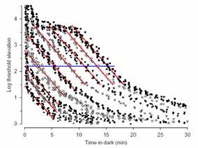 Mesopic levels: peripheral sensitivity At 0.