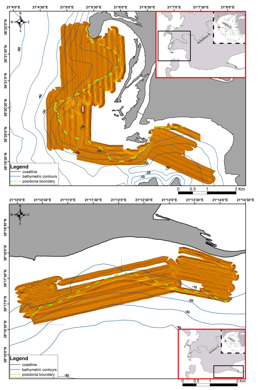 Το μωσαϊκό του ηχοβολιστικού πλευρικής σάρωσης που παρουσιάζεται στην εικόνα 9, παρουσιάζει τη ζωνώδη εξάπλωση των λιβαδιών Posidonia oceanica έως το βάθος των 10 περίπου μέτρων.