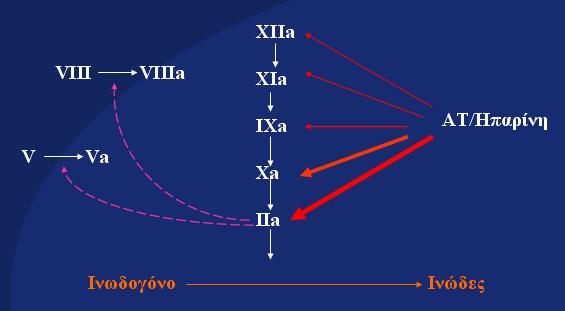 I. ΜΗ ΚΛΑΣΜΑΤΟΠΟΙΗΜΕΝΗ ΗΠΑΡΙΝΗ α. Ιστορική αναδρομή Είναι από τις πιο παλιές φαρμακευτικές ουσίες που χρησιμοποιούνται ευρέως μέχρι σήμερα.