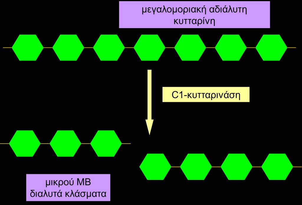 Αποικοδόμηση κυτταρίνης (α) Σχηματική